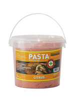 Pasta do mycia rąk Shine Chemicals Citrus